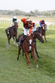 Both the european parliament and the council of the european union make eu laws, among other responsibilities. Top News Turf Times Deutschland