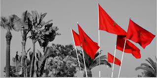 Laden sie dieses kostenlose foto zu marokko nationalflagge isoliert 3d weißen hintergrund und entdecken sie mehr als 8m professionelle stockfotos auf freepik Hintergrundbilder 2000x1000 Px Flagge Marokko Rot Selektive Farbung 2000x1000 Goodfon 1290981 Hintergrundbilder Wallhere