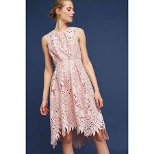 Anthropologie Eva Franco Palm Lace Dress Size 10 Bnwot Blush Ebay Dresses Fashion Summer Cocktail Dress