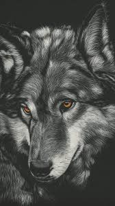 ❤ get the best wolf wallpapers on wallpaperset. Wolf Wallpaper Iphone Posted By Ethan Cunningham