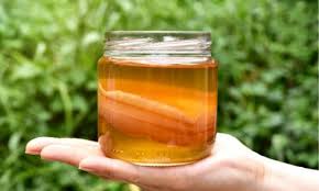 Easy start with growth guarantee Does Kombucha Go Bad 3 Signs Your Fizzy Tea Expired