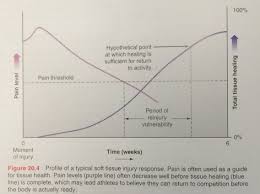 bar graph relation of injury timeout and rehabilitation