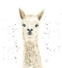 This Super Sweet Llama Print Is Perfect Whether Youre Looking For A Cute Treat For Your Own Space Or For Llama Gifts Inspire Llama Arts Llama Print Animal Art