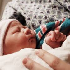 Dawn Lewis Photography