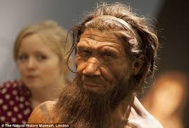 Limbic activation associated with misidentification of fearful faces and flat affect in schizophrenia. Human S Flat Faces Are An Oddity Caused By A Loss Of Bone After Neanderthals Daily Mail Online