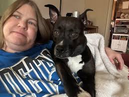 Happy National Boxer Day says Shiloh!!