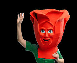 PALMA 2025 23 D'ABRIL