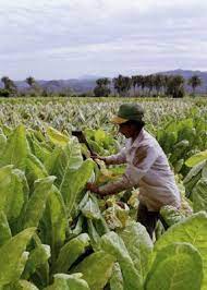 What are Factors of Production: BusinessHAB.com