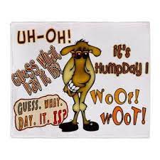 With tenor, maker of gif keyboard, add popular hump day camel animated gifs to your conversations. Pin On Bud Peneaux