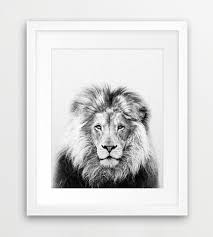 Black And White Safari Animal Prints Lion Print Lion Wall Art Safari African Animal Lion Photo Etsy Animal Wall Art Nursery Nursery Animal Prints Lion Wall Art