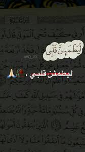 pin by selen on actors with images girly pictures arabic quotes islamic quotes