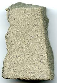 Image result for zagami