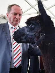 The last time the nationals did this was in february 2020. Australian Minister For Agriculture Barnaby Joyce The One On The Left Has Threatened To Kill Johnny Depp S Dogs Imgur