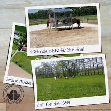 Offenstallplatz Fur Stute Weitere Platze Auf Stall Frei De Stallfrei Stute Offenstall Laufbox Allergikerstall Longierz Stalle Stall Frei Reitanlage