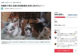 琉球 わん にゃん ゆ いま ー る