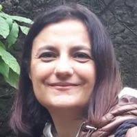 PDF) "Mythologische Prachtreliefs": Decorative Elements in Luxury Roman  Housing