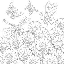 My printable bee coloring pages are interactive which means you can customize them in your favorite fonts, colors, and sizes. Zentangle Insects And Dandelion Flowers Coloring Page Stock Vector Illustration Of Coloring Dandelion 140219032