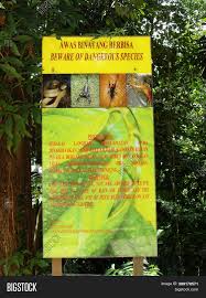 Sturdy new canopy walk at. Kuala Lumpur Malaysia Image Photo Free Trial Bigstock