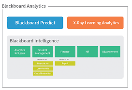 Blackboard Analytics An Overview Student Finance Business Analysis Analytics