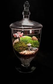 Landscape Terrarium Moss Terrarium Terrarium Zen Terrarium Pagoda Terrarium Housewarming Gift Japane Moss Terrarium Terrarium Japanese Garden