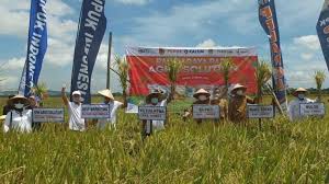 Ikhwan musthofa agus pada kantor bank cimb niaga di seluruh indonesia. Berkontribusi Ke Pemulihan Ekonomi Program Agro Solution Raih Penghargaan