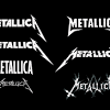 Their speciality is heavy metal music on cellos, though they also play classical music. 1