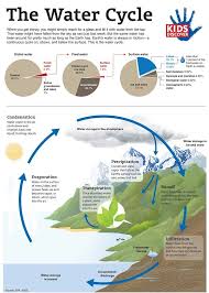 Products Archive Kids Discover Water Cycle Science Infographics Science Education