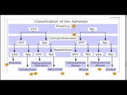 Dysarthria Definition Crossword Dictionary