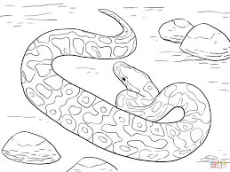 Colouring pages for kids snake. Python Coloring Pages Coloring Home