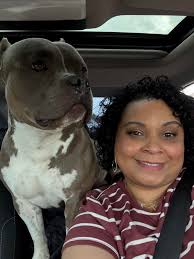 Pitbull loves car rides and pup cups