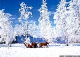 815 x 649 jpeg 103 кб. Most Beautiful Snow Scenes Wallpaper Views Wallpapers