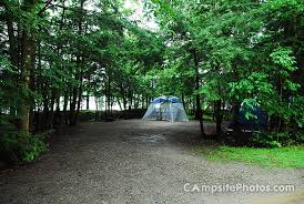 The lake is a habitat to many species such as north pike, walleyes, and others. Lake Carmi State Park Campsite Photos Camping Info Reservations