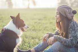 Brave dog knits, columbia falls, montana. Find Out Which Dog Breeds Might Match Your Zodiac Sign