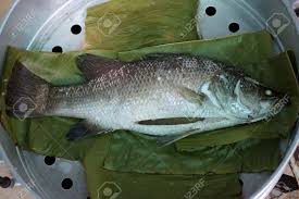 16 reviews #92 of 275 restaurants in tangier seafood. Vapor De Pescado Lubina Blanca En La Hoja De Platano Fotos Retratos Imagenes Y Fotografia De Archivo Libres De Derecho Image 42834714