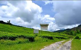 Wikiloc premium ile reklamlardan kurtulun →. Sungai Palas Tea Boh Garden Cameron Highland Part Of Me