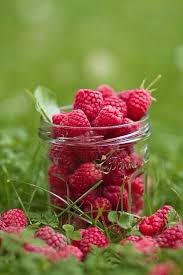 Tout Ce Qui Me Touche Photographie De Fruit Fruits D Automne Berry