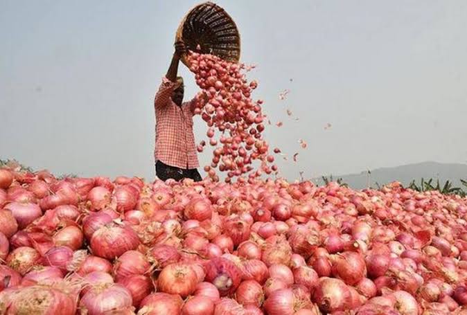 Image result for प्याज"