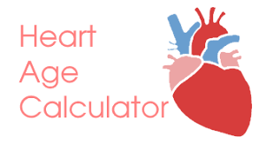 bmi calculator the heart foundation