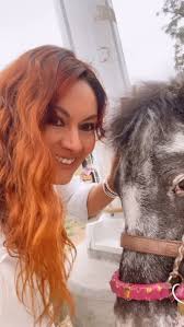 Sweet boys ❤️🐎 #horse #horses #animals #adventure