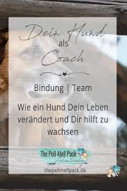 Coach Auf Pfoten Anzeige The Pell Mell Pack Beschaftigung Fur Hunde Clickertraining Leben