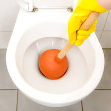 Knowing how to fix an overflowing. How To Unclog A Toilet The Family Handyman
