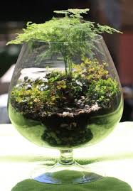50 Terrarium Decoration Ideas Jardin Bocal Jardin De Verre Mini Jardins