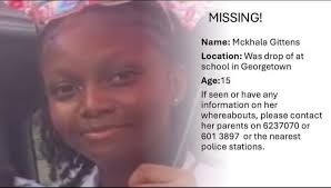 SALE🚨SALE🚨SALE🚨 Beat the blackouts⚡️ with a generator🔋from Lisa's  General Store. Our generators are durable and will certainly give you peace  of mind, knowing you are always powered⚡️. In stock are: 30 kva (