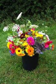 Japan receives its supplies from a more diversified base with taiwan, new zealand. Flowers For Cutting Garden