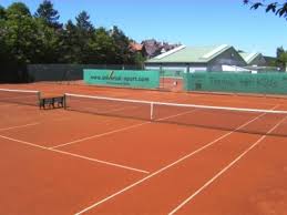 Ein widder flieht von seiner weide und steht plötzlich auf einem tennisplatz. Tennisschule Ohne Aufnahmegebuhr Freiplatze