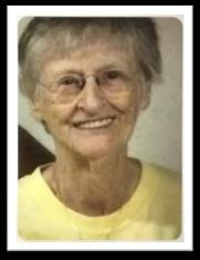 Updates from the Director In This Issue