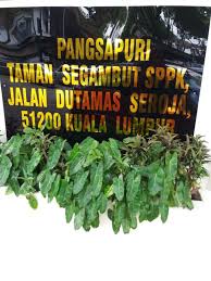 Kuala lumpur (sering disingkat kl), atau nama lengkapnya wilayah persekutuan kuala lumpur, adalah ibu kota dan kota terbesar di malaysia. Rumah Sewa Apartment Flat Sppk Segambut Kl Roomz Asia