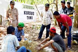 Sistem penyuluhan pertanian adalah rangkaian pengembangan kemampuan, pengetahuan dan keterampilan serta perubahan sikap bagi pelaku utama dan pelaku usaha melalui penyuluhan dan peran sertanya dalam pembangunan pertanian. Tunjangan Penyuluh Pertanian Di Banyuwangi Capai Rp 10 Juta Republika Online