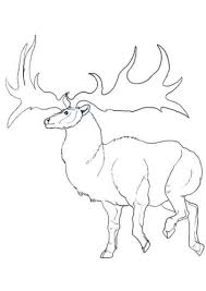 Cuando haya resultados de autocompletar disponibles, usa las flechas arriba y abajo para revisarlos y entrar para seleccionar uno. 30 Free Reindeer Coloring Pages Printable