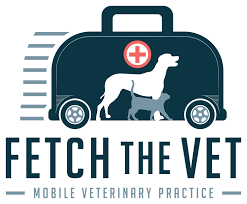 We are bringing the clinic to your door for your convenience and for the comfort of your pet. Mobile Veterinary Practice Buffalo Ny